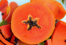 Nuove piante dai semi di frutta e verdura – parte 2 714 0 040 Nuove piante dai semi di frutta e verdura 2